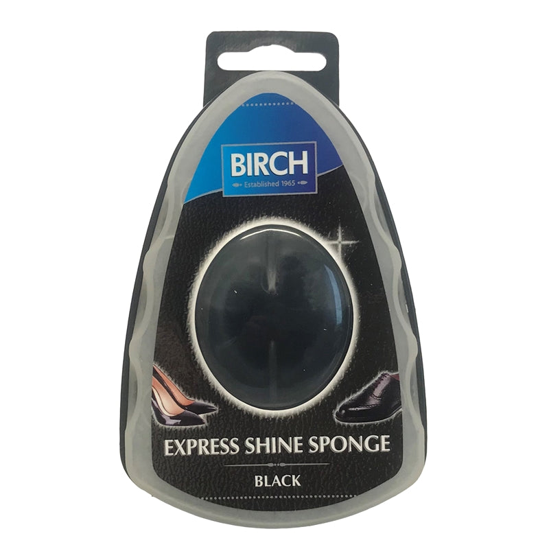 Express Shine Sponge
